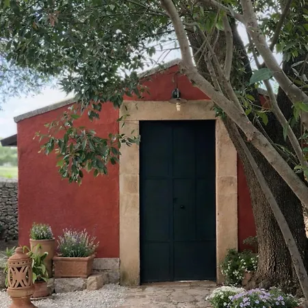 Séjour chez l'habitant Tenuta Colavecchio Wine Relais